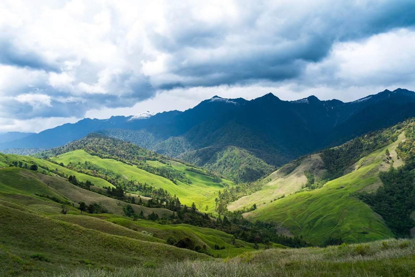 Highland pasture in eastern Arunachal