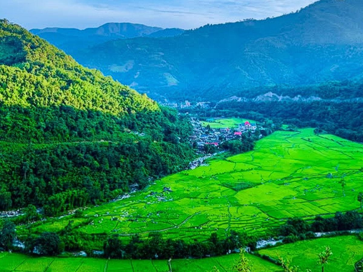 Green rice fields of Ziro Valley