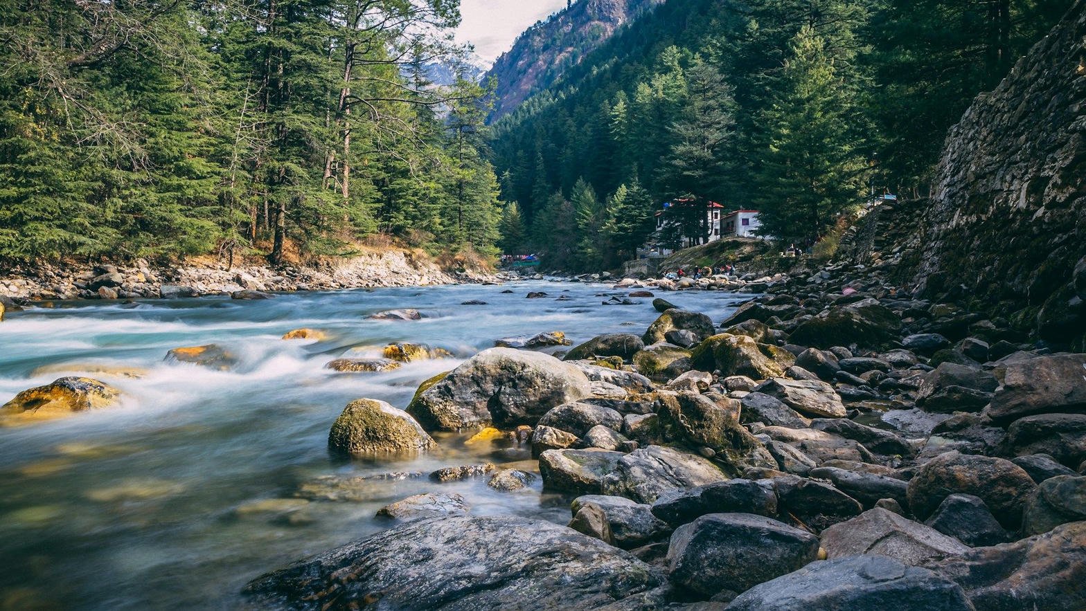 Parvati River flowing through pine forest near Kasol