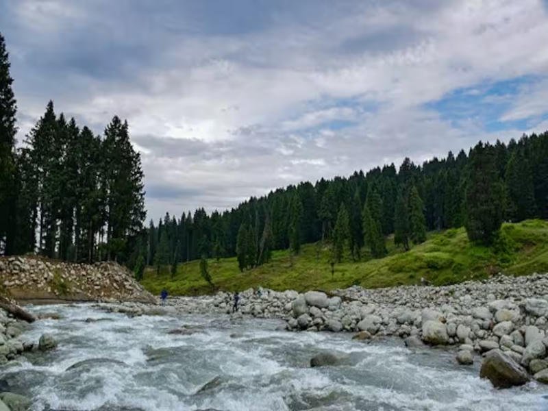 Green pasture and stream at Doodhpathri