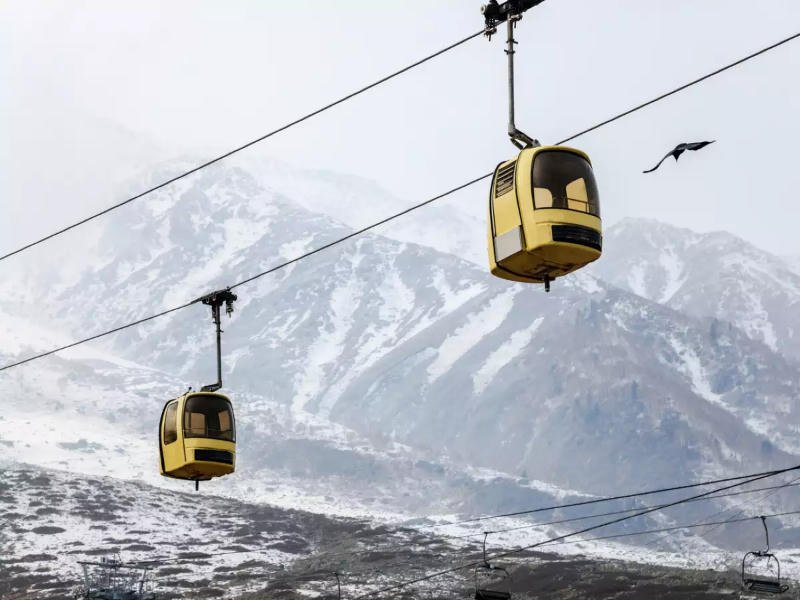 Snow slopes and pine forest around Gulmarg