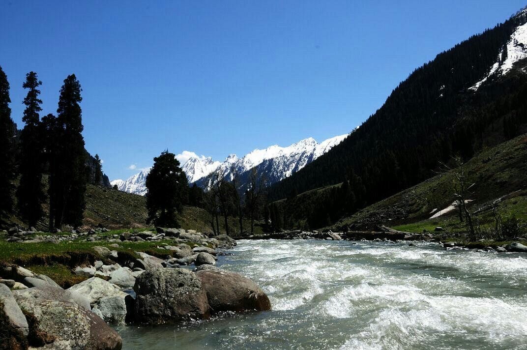 River and meadow landscape in Pahalgam