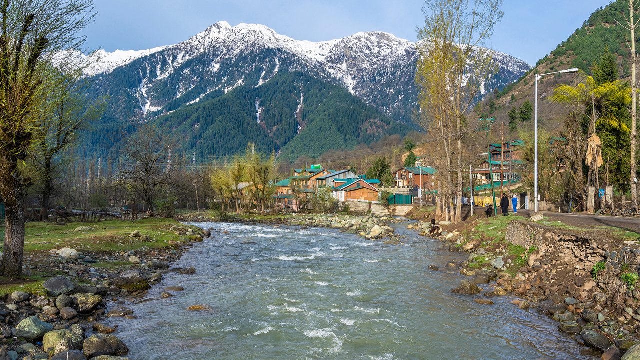 Pine-framed valley near Pahalgam