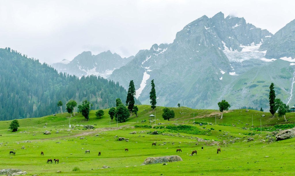 Sonmarg alpine valley and peaks