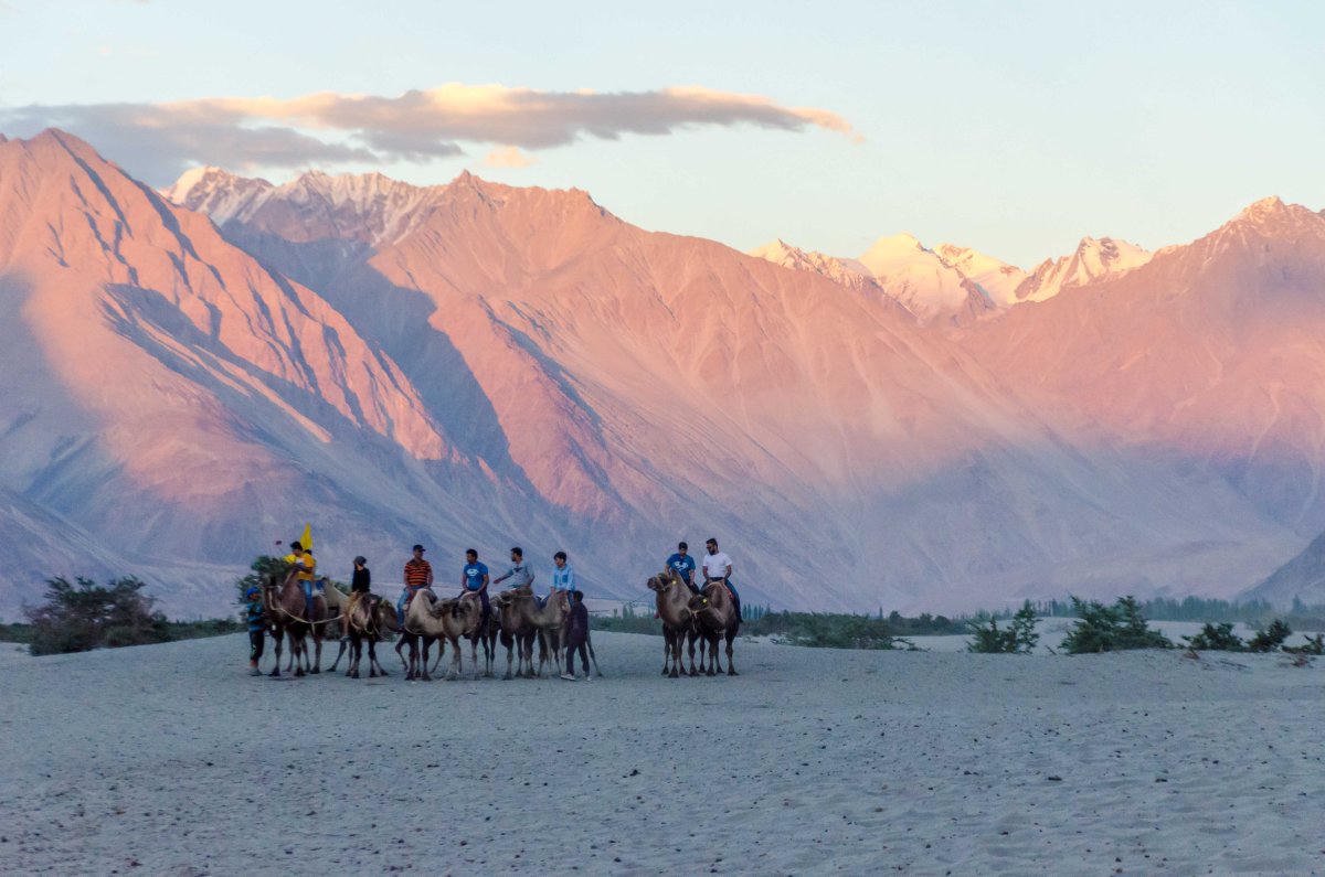 Evening light on Nubra dunes