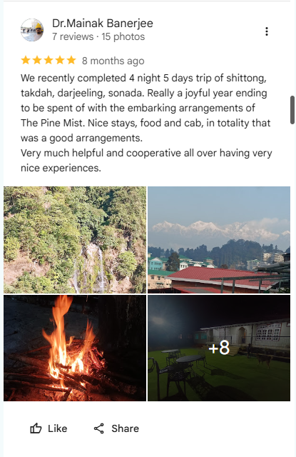 Google review