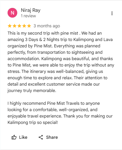Google review