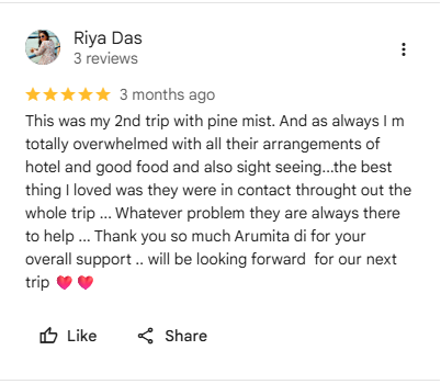Google review