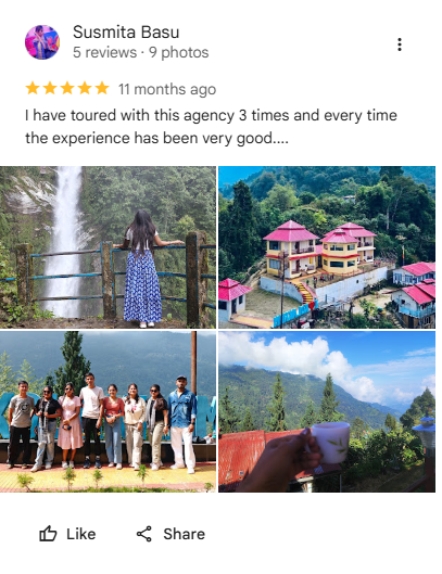 Google review