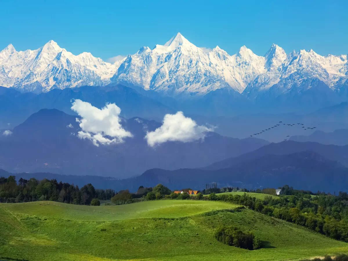 Binsar