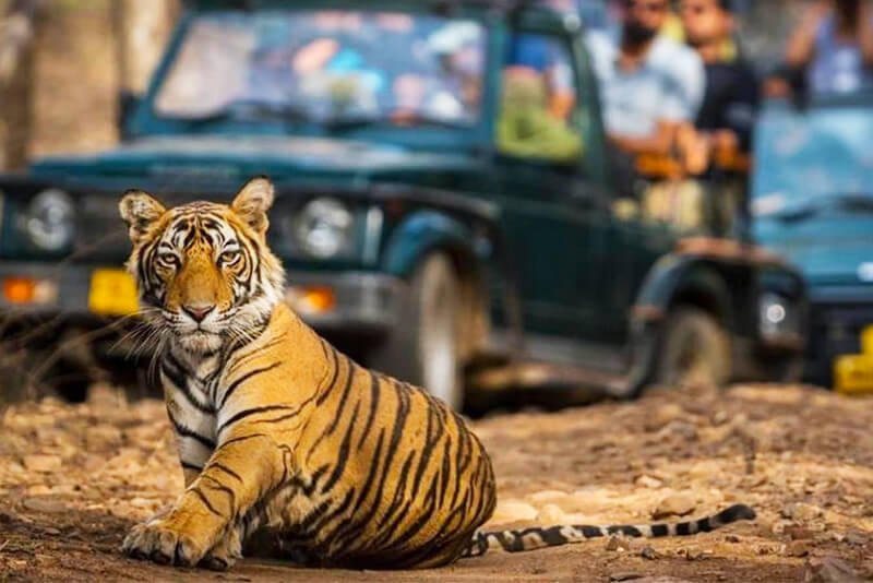 Jim Corbett